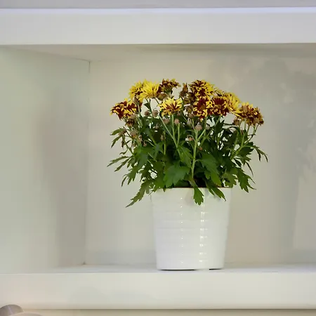 Dolce Bed & Breakfast Florens