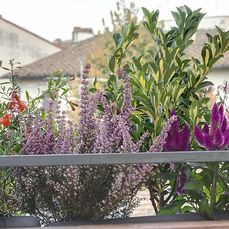 Dolce Florens
